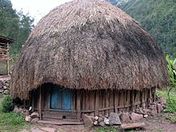 Rumah adat Papua, Honai
